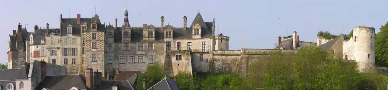 Les Gites De L'Argenterie A 15Km Du Zoo De Beauval Classes 4 Etoiles Fontguenand エクステリア 写真