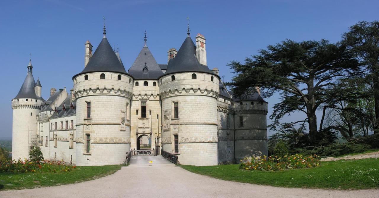 Les Gites De L'Argenterie A 15Km Du Zoo De Beauval Classes 4 Etoiles Fontguenand エクステリア 写真